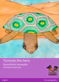 Tortoise the hero