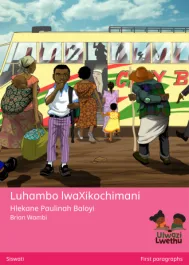Luhambo lwaXikochimani