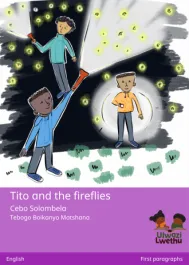 Tito and the fireflies