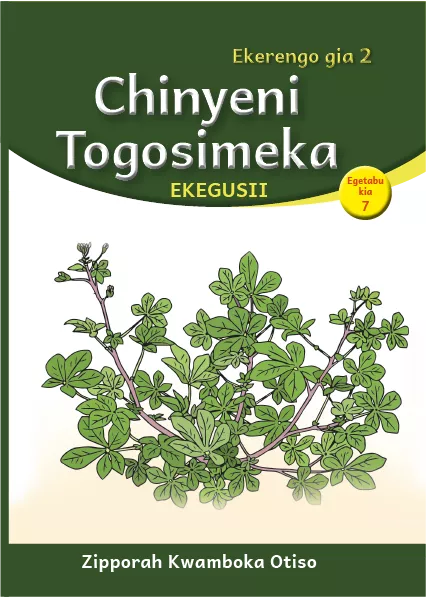 Chinyeni Togosimeka (Level 2 Book 7)