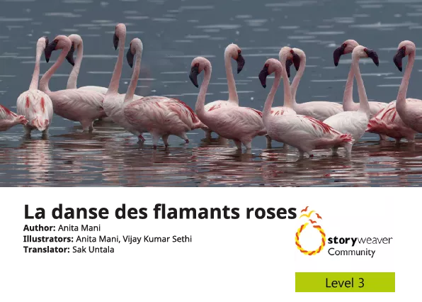 Cover thumbnail - La danse des flamants roses